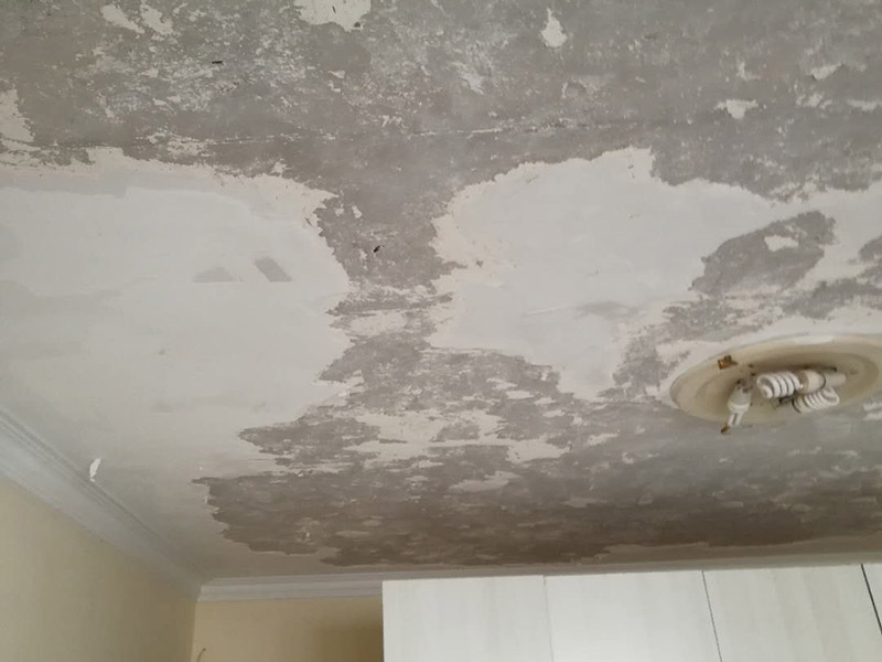 天花板鏟除翻新:1.舊墻的基本處理、舊墻的基本處理主要指清除墻面的原有裝修和裝飾。一般包括墻面原有的乳膠漆和膩子層的鏟除、木裝修、其它表面裝飾物(如壁紙)的拆除等。如果只裝修了一兩年的墻面，墻體的耐水膩子可以不必完全鏟除，用鋼刷和砂紙打磨墻面后即可重新涂刷乳膠漆。裝修時間較長的則需要將膩子層完全鏟除，重新刷上膩子再進行其他工序。 2.清理墻面、舊墻面在翻新前一定要做墻面基底處理，粉化嚴重的要全部鏟除，鏟除后抹上一層白水泥。原來墻面過于光滑、刷過油漆的鏟除后還要做打磨處理，把粘結(jié)不牢的表皮去掉，便于新涂料和墻體粘結(jié)。 3.涂刷底漆、墻面底漆的作用是抗堿防潮、封固基材、保護面漆，提高面漆的質(zhì)感和遮蓋力。對于老房翻新，墻面一定要做底漆，如果沒有刷底漆就直接上面漆的話，時間一長墻面容易起泡、發(fā)霉，太陽照曬時間長了也容易變色。 4.大面積修補、已經(jīng)上好面漆的墻面要修補會比較麻煩，容易產(chǎn)生色差，材料的使用時間不同，質(zhì)量也難以保證，很難達到理想效果。所以墻面的修補最好是整塊墻面，或是盡可能地選擇較大面積進行修補，這樣可以盡量避免產(chǎn)生色差，修補后的質(zhì)量也更好。 5.防色差、墻面色差是修補墻面時需要盡量避免的。為此，應(yīng)該注意按照油漆桶的說明配比、涂刷，最好估算好用量。一次準備足夠的量，這樣能保證墻面顏色一致，也能避免用量不足重新調(diào)配出來的顏色有差異。