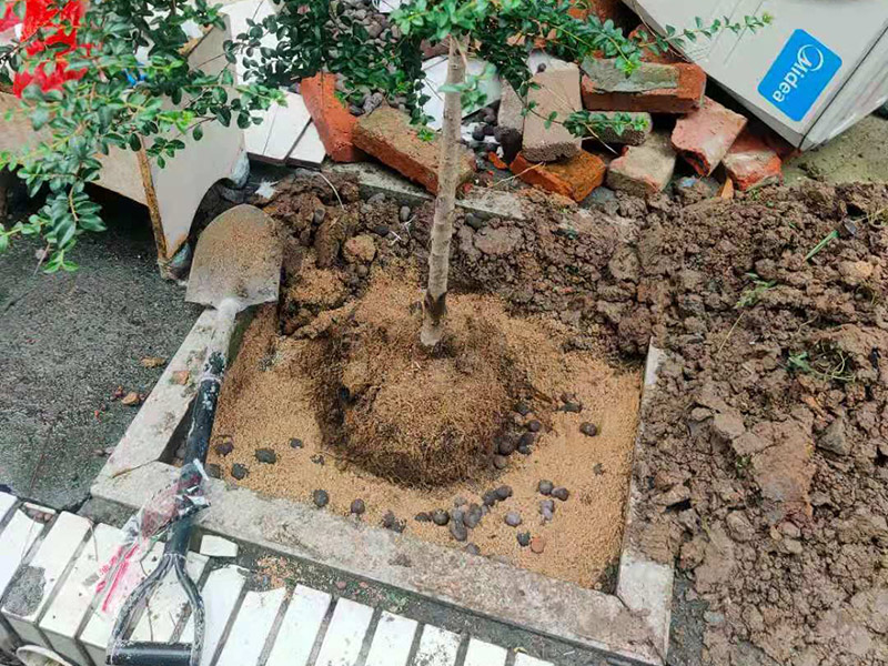 庭院植物底部防水：找到本來的防水層，由于防水層不是顯露的，是在面層下部，有必要將面層進(jìn)行悉數(shù)根除，找到本來的防水層。將原防水層根除以后，找平，將本來下部保溫層里存的水進(jìn)行排干，設(shè)一些排氣孔做排氣辦法，將保溫層里的水分排干。做完防水層以后，必定要做找坡處理，不要形成屋面部分存水，通常設(shè)置水泥砂漿找平找坡，找坡的斜度不小于3%。再進(jìn)行閉水實(shí)驗(yàn)，不漏水為合格，再進(jìn)行康復(fù)上面的維護(hù)及鋪貼面磚裝修。